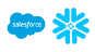 salesforce-snowflake-icon