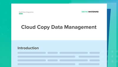 White Paper Cloud Copy Data Management