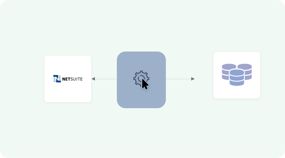 NetSuite-database